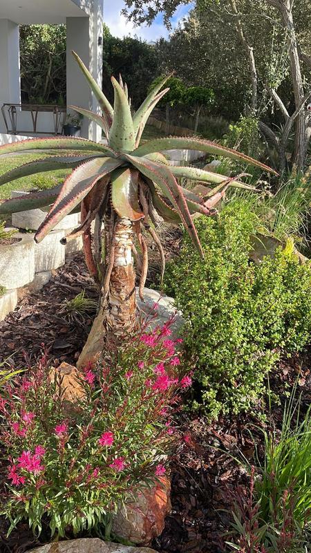 4 Bedroom Property for Sale in Pinnacle Point Golf Estate Western Cape